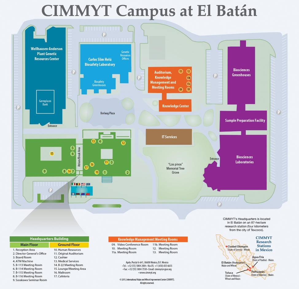 CIMMYT Campus et el batán